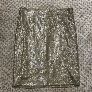 Zara sequence skirt.